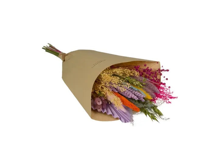 Rainbow Dreams | Dried Flowers